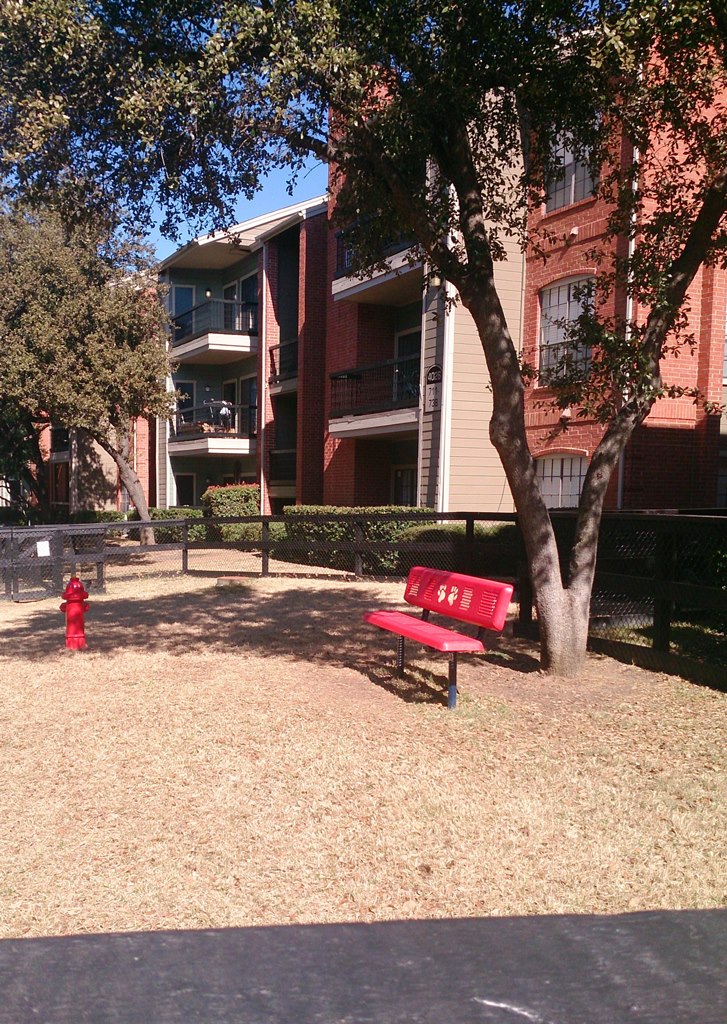 Shadows of Cottonwood photogallery 3